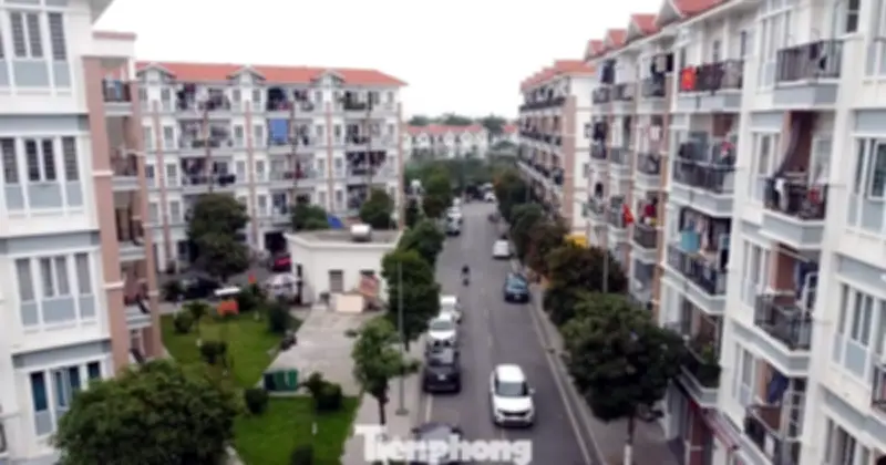 Hải Phòng: Loạt dự án nhà ở xã hội vi phạm nghiêm trọng, thanh tra chỉ ra hàng loạt sai phạm