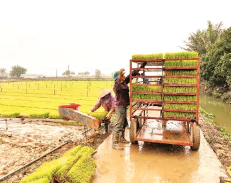 Hải Phòng thử nghiệm giống lúa mới, Quảng Ninh đón 4,1 triệu khách du lịch