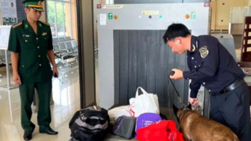 Hải Quan Phát Hiện Nhiều Vụ Gian Lận Thuế Qua Khai Báo Sai Hàng Hóa