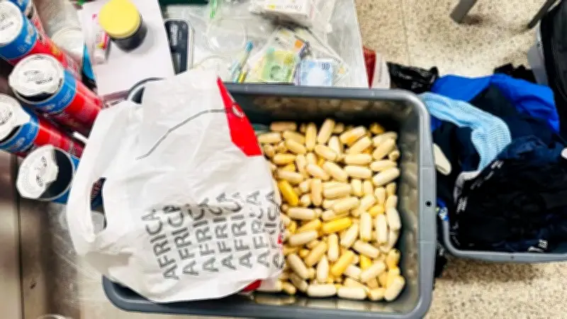 Hải Quan Triệt Phá Hàng Loạt Vụ Buôn Lậu Ma Túy Dịp Tết Bính Ngọ 2026