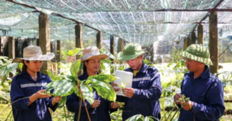 Hội thảo Quốc tế về Cây Dược Liệu tại Quy Nhơn: Mở Ra Cơ Hội Phát Triển Bền Vững