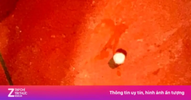 Hiện tượng mưa đá bất thường sau 30 năm xuất hiện tại Thanh Hóa và Nghệ An