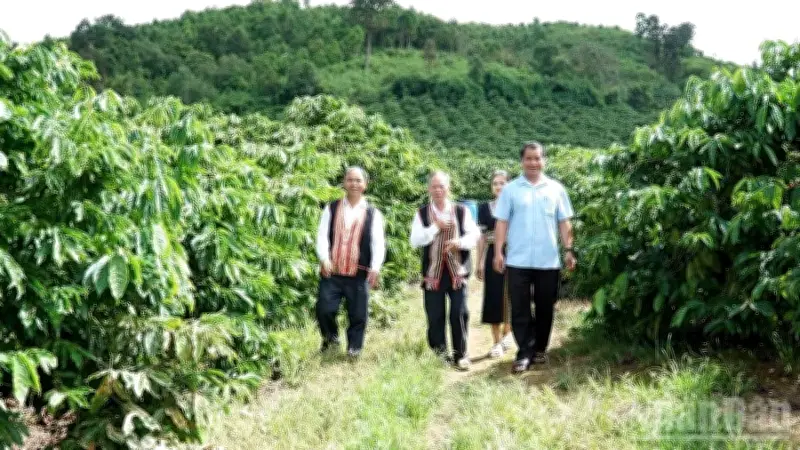 Hơn 29.000 người có uy tín trong cộng đồng: Chính sách mới khắc phục khó khăn sau cải cách hành chính