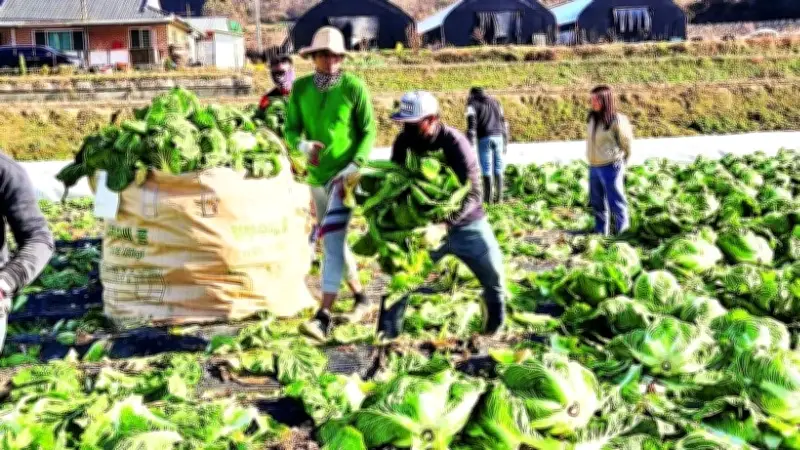 Hàn Quốc mở rộng thị thực Top-Tier, cải tổ hệ thống lao động nhập cư