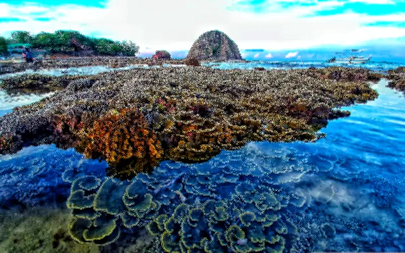 Hòn Yến Đắk Lắk: Kỳ Quan San Hô Trên Cạn Và Di Sản Quốc Gia