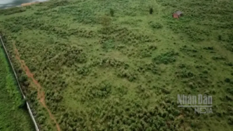 Hướng dẫn chi tiết hồ sơ miễn, giảm tiền thuê đất do thiên tai, hỏa hoạn