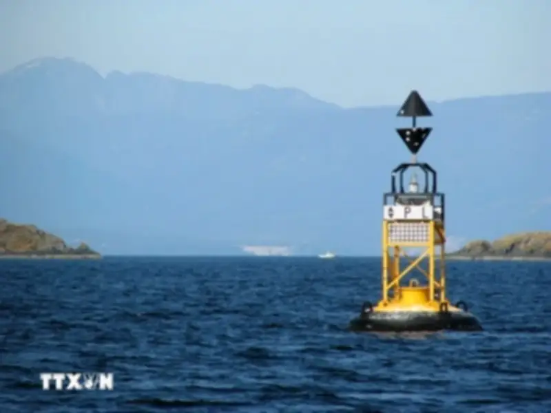 Hàng Loạt Công Ty Dầu Khí Và Vận Tải Tạm Dừng Vận Chuyển Qua Eo Biển Hormuz