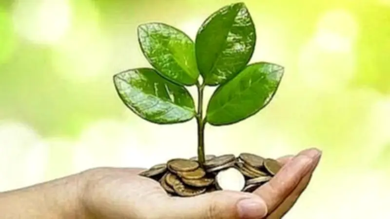 Hàng Loạt Doanh Nghiệp Công Bố Lịch Trả Cổ Tức Bằng Tiền Trong Tháng 3/2026