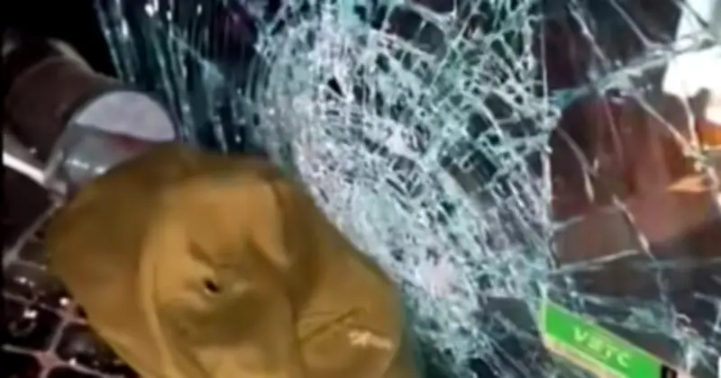 Hàng loạt xe tải bị ném đá vỡ kính trên cao tốc Quảng Trị, công an vào cuộc điều tra