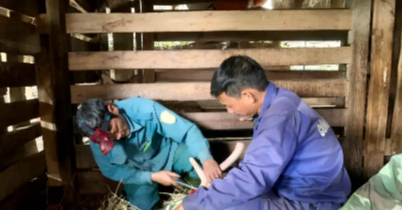 Hương Sơn (Hà Tĩnh) Thu Hàng Trăm Tỷ Đồng Từ Nghề Nuôi Hươu Lấy Lộc Nhung