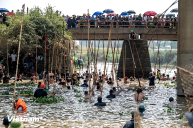 Hàng trăm trại tráng xu đại cổ trần rủ nhau xuống sông thi bắt cá