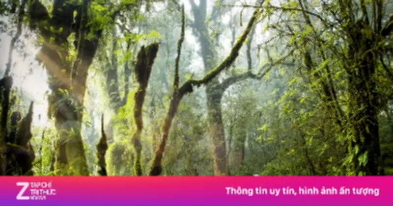 Hành Trình Sống Chậm Tại Chiang Mai, Lamphun Và Lampang: Trải Nghiệm Tái Tạo Năng Lượng