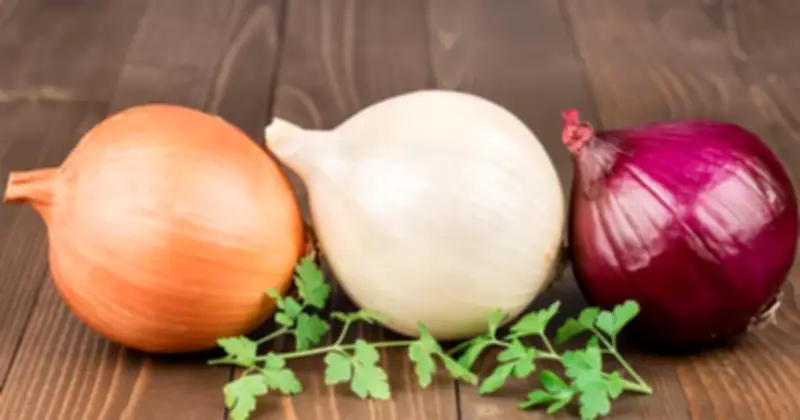 Hành Tây: Thực Phẩm Vàng Bảo Vệ Thận Và Ổn Định Đường Huyết Hiệu Quả