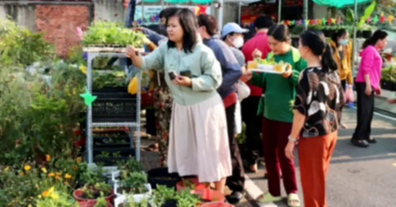 Hào hứng với 'chợ cây 0 đồng' tại TP.HCM: Người dân thoải mái chọn giống rau miễn phí