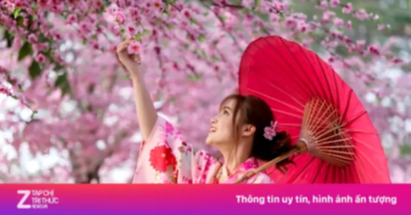 Hoa Anh Đào Nhật Bản Nở Sớm Năm 2026: Dự Báo Chi Tiết Cho Du Khách Việt