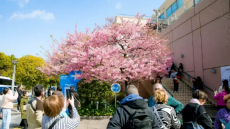 Hoa Anh Đào Tokyo Nở Sớm, Du Lịch Đối Mặt Với Thách Thức Chi Tiêu Giảm