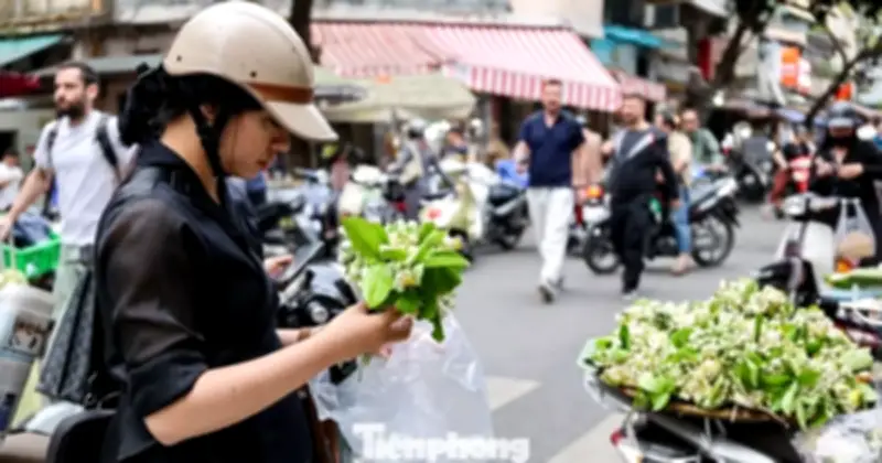Hoa Bưởi Rực Rỡ Đầu Mùa: Nét Văn Hóa Đặc Trưng Của Hà Nội Dịp Rằm Tháng Giêng