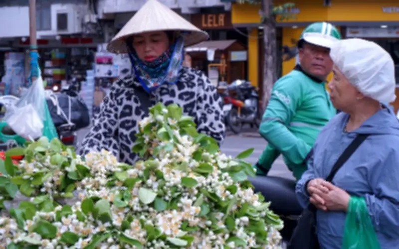 Hoa bưởi tháng Ba thơm ngát, giá cao ngất nhưng vẫn 'cháy' hàng