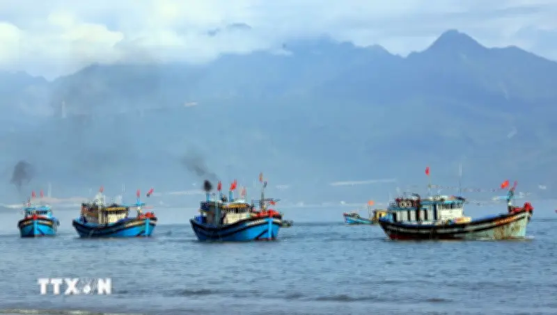 Hoàn thiện hành lang pháp lý để bảo vệ nguồn lợi và phát triển ngành thủy sản bền vững