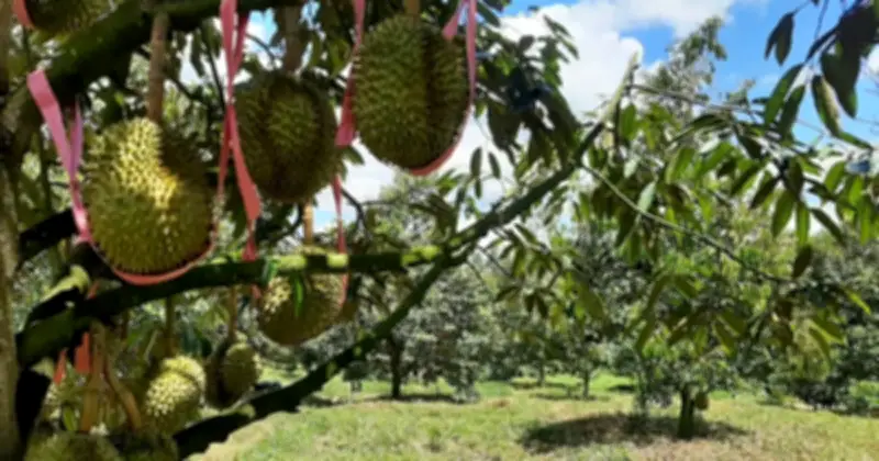 Hoàng Anh Gia Lai rút ngắn đáo hạn trái phiếu, bầu Đức tăng sở hữu cổ phiếu