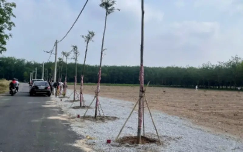 HoREA đề xuất cơ chế xử lý lối đi chung khi hợp thửa đất tại TP.HCM