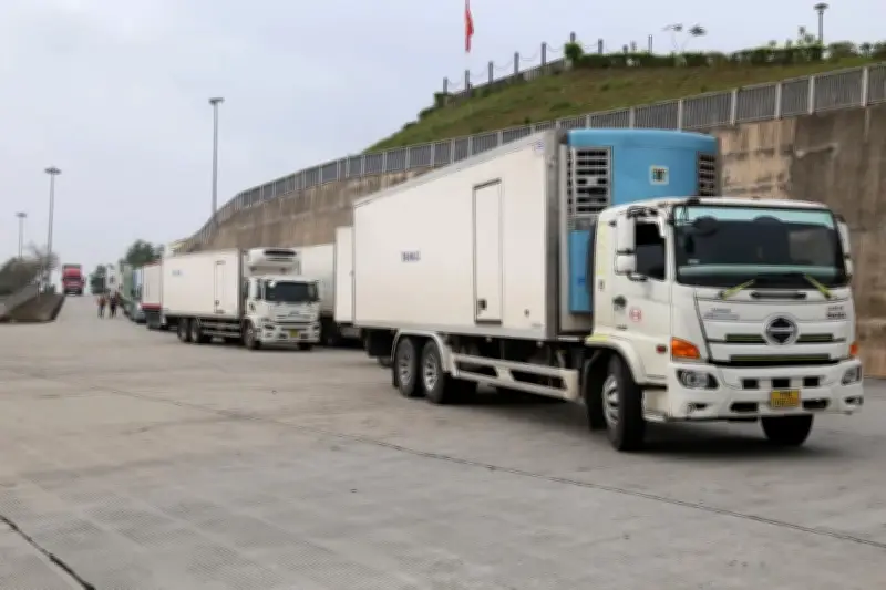 Hoạt động xuất nhập khẩu tại Móng Cái trở lại bình thường sau Tết, kim ngạch tăng mạnh