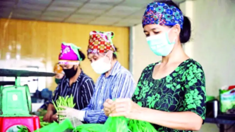 Hợp tác xã Bắc Ninh vươn mạnh nhờ công nghệ và nguồn vốn ưu đãi