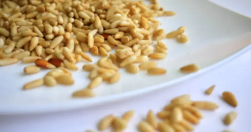 Hạt Thông: Thực Phẩm Vàng Cho Sức Khỏe Tim Mạch Và Làm Chậm Lão Hóa