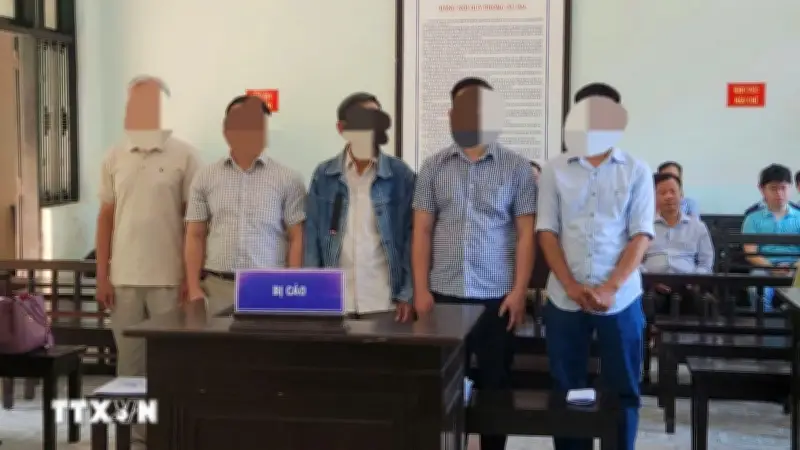 Huế tuyên án 5 bị cáo trong vụ tận thu rừng cháy gây thiệt hại hơn 55 tỷ đồng