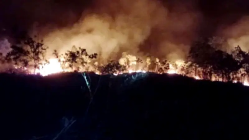 Huy động toàn lực dập tắt cháy rừng tại Huế, bảo vệ an toàn người dân