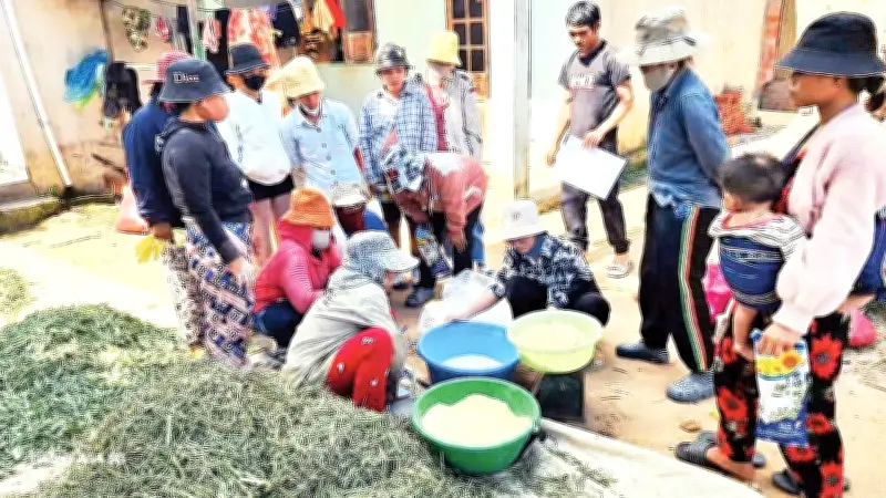 Đổi Mới Dạy Nghề Vùng Sâu: Kon Tum - Quảng Ngãi Thu Hút Lao Động Qua Lớp Học Thực Tiễn