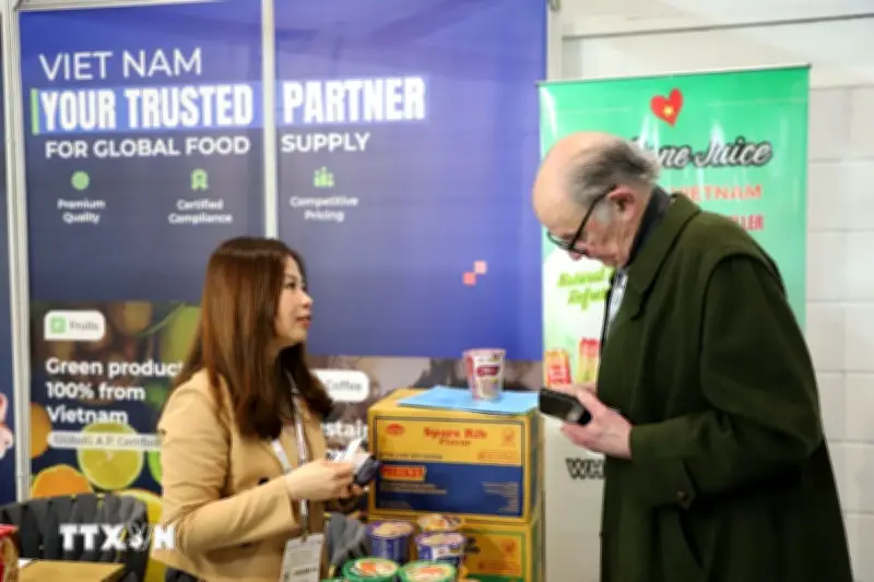 IFE 2026: Cơ Hội Vàng Cho Ngành Thực Phẩm Đồ Uống Việt Nam Trên Toàn Cầu