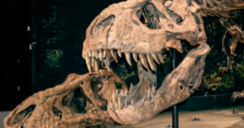 In 3D Khổ Lớn: Từ Bản Sao Khủng Long Đến Tên Lửa, Cách Mạng Công Nghiệp 4.0