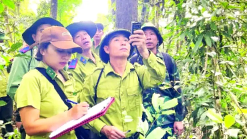 Điện Biên cảnh báo nguy cơ cháy rừng cao sau vụ cháy tại bản U-Va