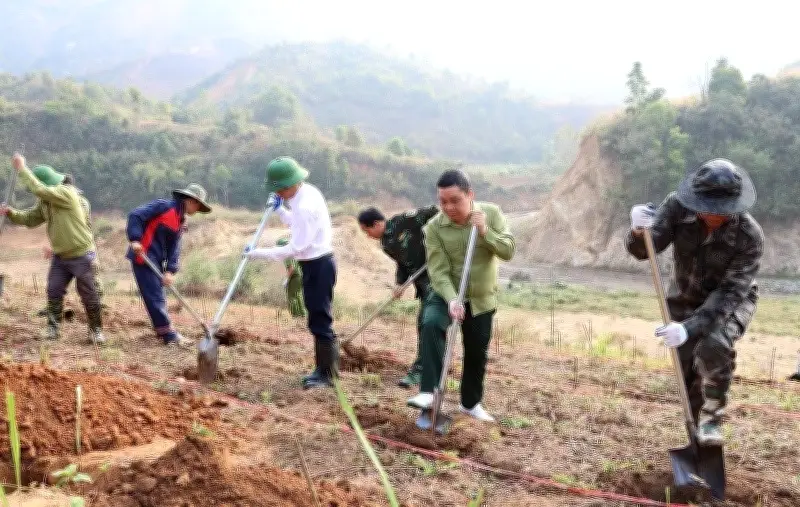 Điện Biên: Hàng trăm người hưởng ứng ra quân trồng cây mắc-ca và cà-phê tại xã Na Son