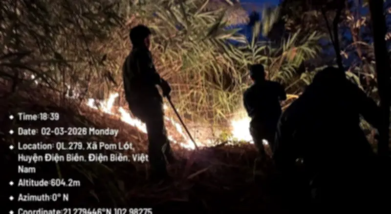 Điện Biên Tăng Cường Phòng Chống Cháy Rừng Trong Mùa Khô Nguy Hiểm