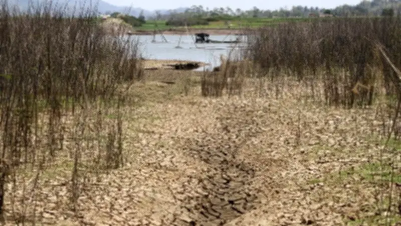 Indonesia cảnh báo 'Godzilla El Niño' có thể kéo dài mùa khô tới 6 tháng vào năm 2026