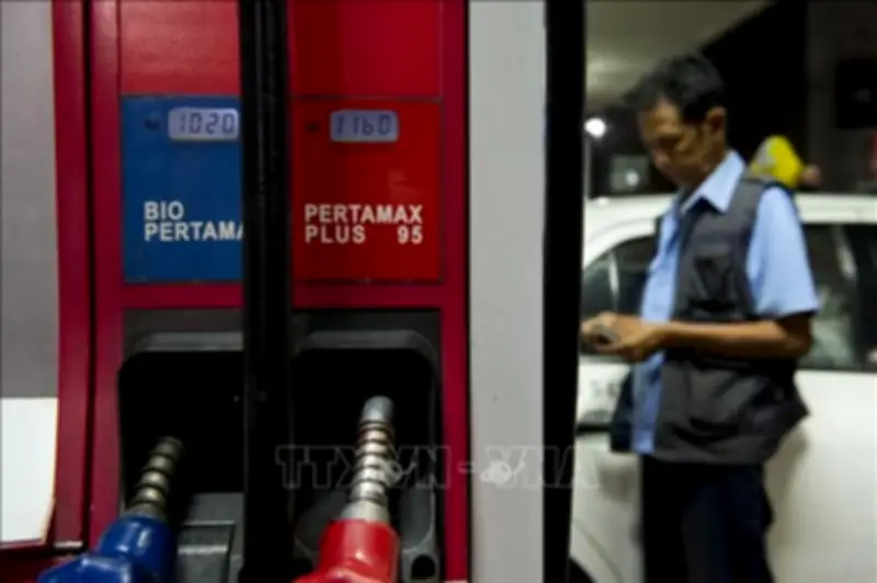 Indonesia Thúc Đẩy Nhiên Liệu Sinh Học, Campuchia Đảm Bảo An Ninh Năng Lượng