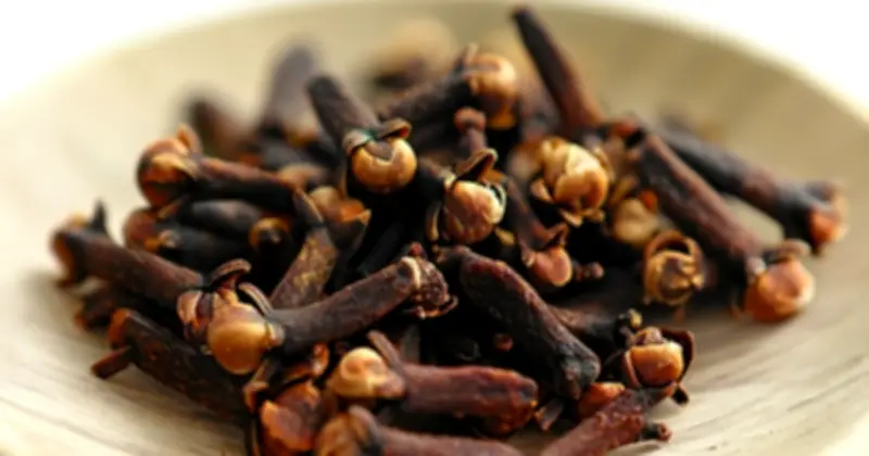 Đinh Hương: Hành Trình Từ 'Vàng Đỏ' Đến Gia Vị Toàn Cầu Và Ứng Dụng Hiện Đại