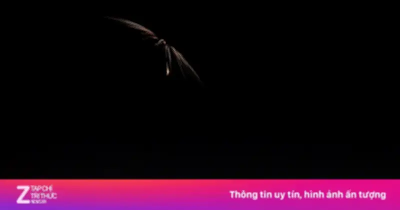 Israel Mở Đợt Không Kích Mới, Tehran Rung Chuyển Vì Loạt Vụ Nổ