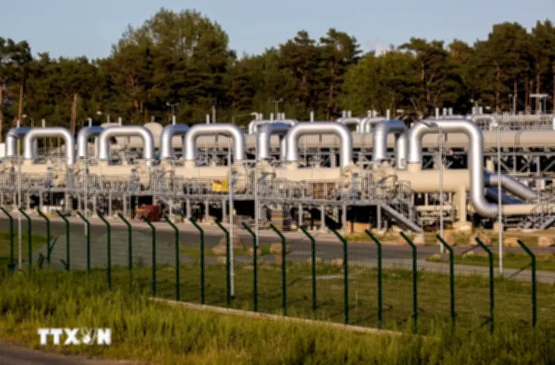 Italy Phát Hiện Mỏ Khí Đốt Lớn Ngoài Khơi Libya, Tác Động Đến Thị Trường Năng Lượng