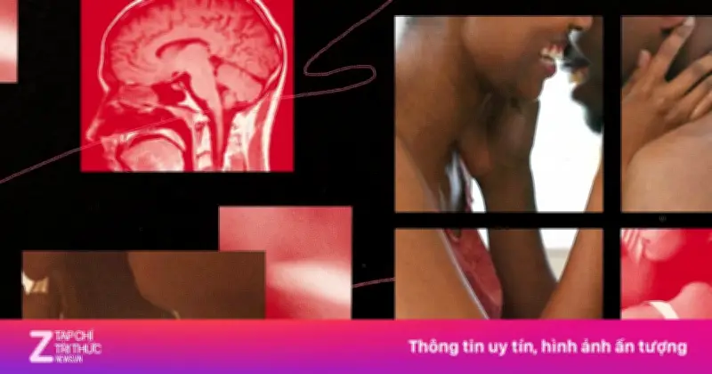 Điều Gì Xảy Ra Khi Các Cặp Đôi Ngừng Quan Hệ Tình Dục?