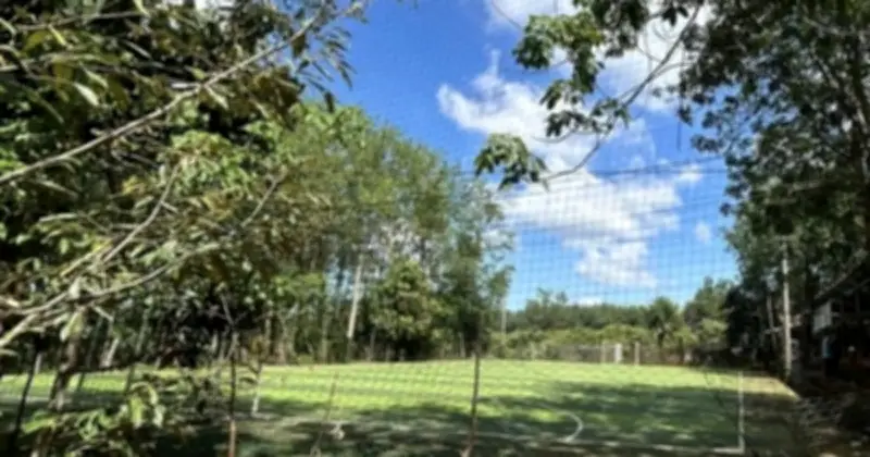 Điều Tra Ba Vụ Điện Giật Thương Tâm Tại Đồng Nai, Cảnh Báo An Toàn Điện