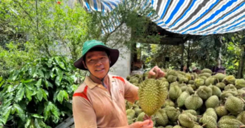 Đắk Lắk ban hành quy chế quản lý mua bán sầu riêng, bảo vệ nông dân và thương hiệu