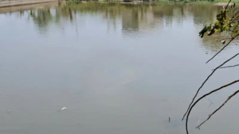 Đắk Lắk: Hai học sinh tiểu học tử vong do đuối nước tại hồ chứa