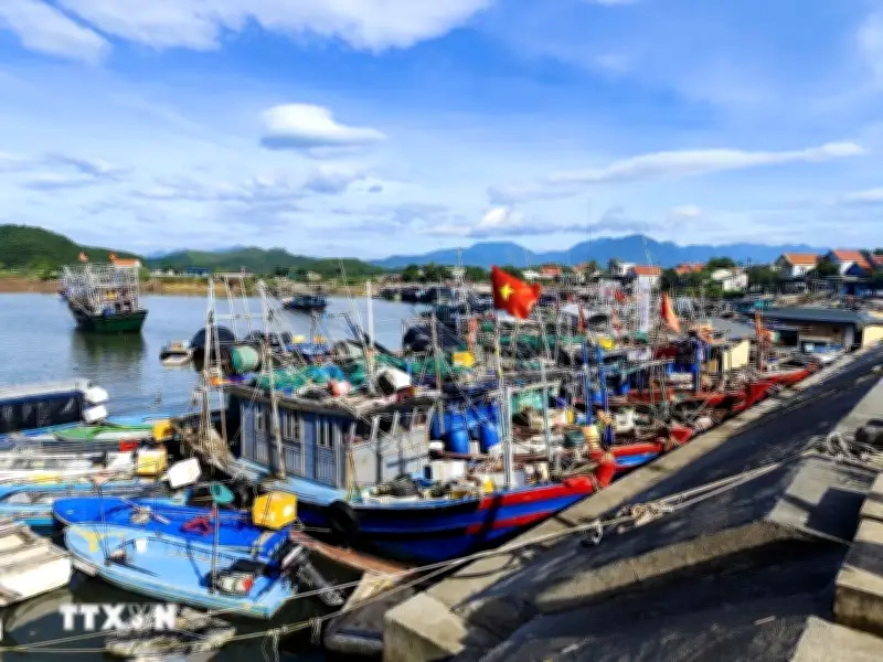 Khắc phục thẻ vàng IUU tại Khánh Hòa: Đảm bảo minh bạch, đầy đủ số liệu