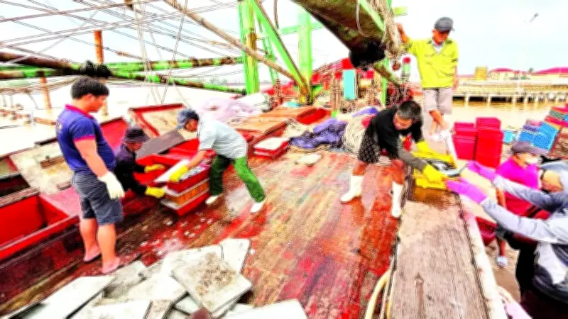 Khởi Sắc Bến Cá Cửa Việt: Ngư Dân Hối Hả 'Mở Biển' Đầu Xuân Bính Ngọ 2026