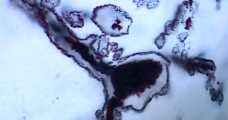 Khám phá mới: Quy trình khử nitơ phi sinh học có thể là nguồn gốc sự sống