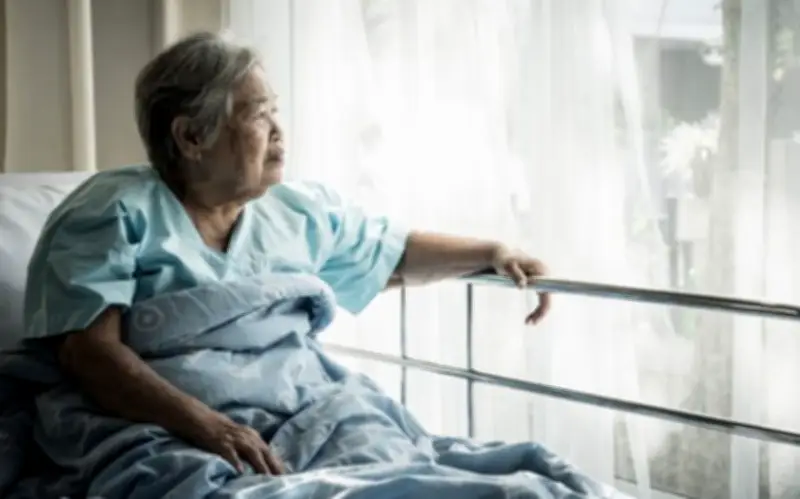 Không con, tôi dồn hết cho cháu gái, mới nhận ra sự thật đau lòng trong bệnh viện