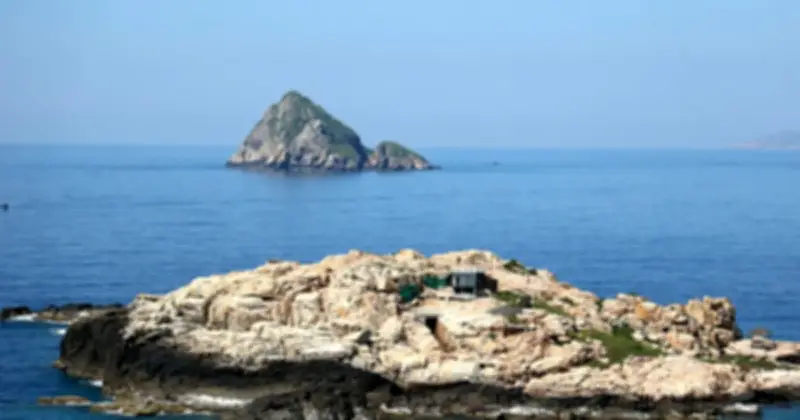 Khánh Hòa Siết Chặt Bảo Vệ Chim Yến Trước Nạn Săn Bắt Trái Phép Gia Tăng